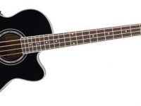 Ibanez Acoustic Bass