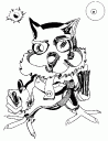 A studious owl